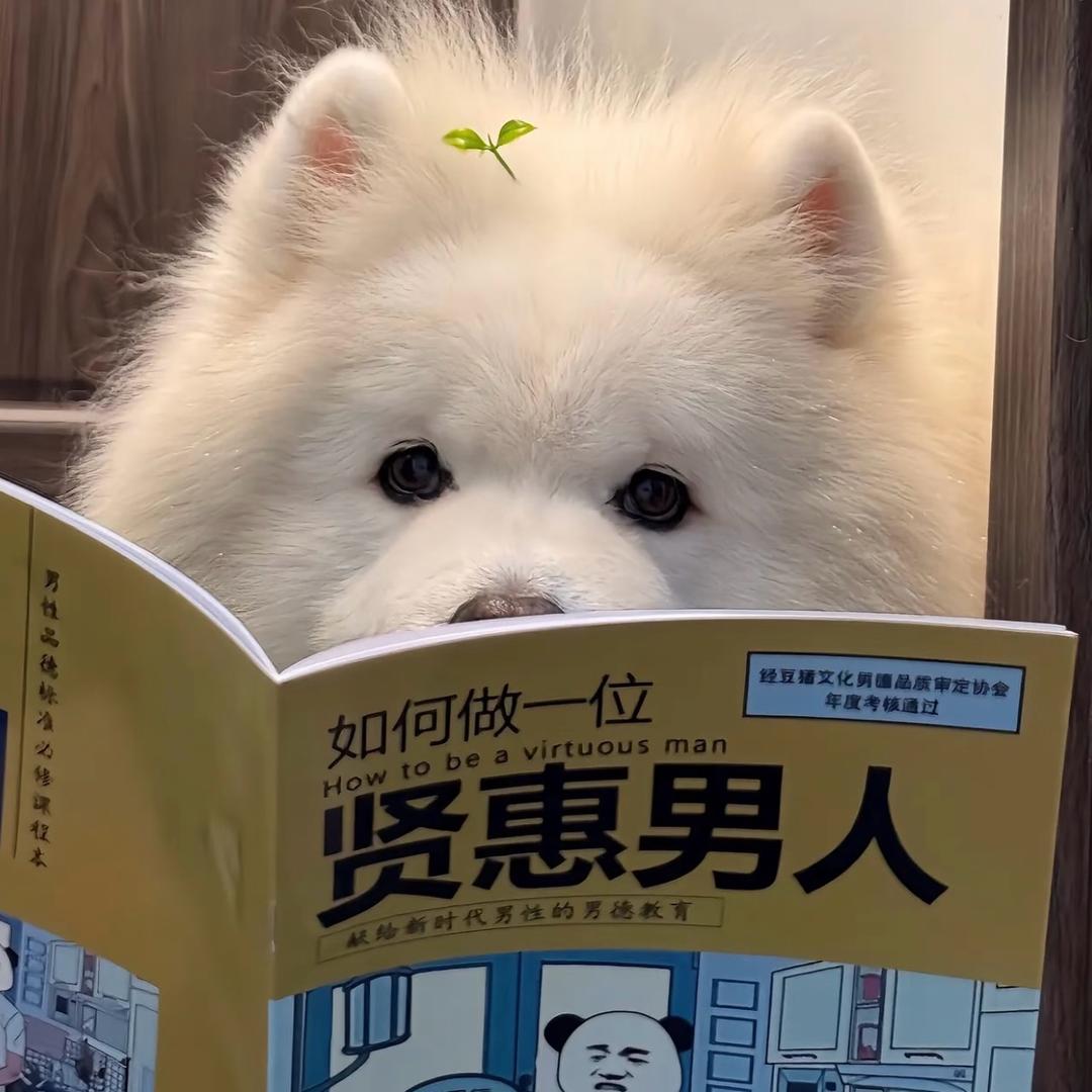 爱吃烧饼夹里脊.
