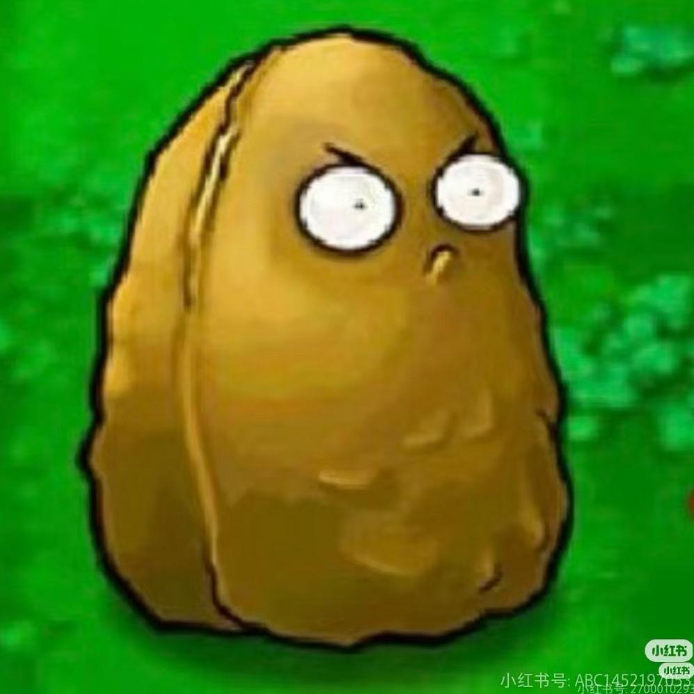 当个快乐的笨蛋