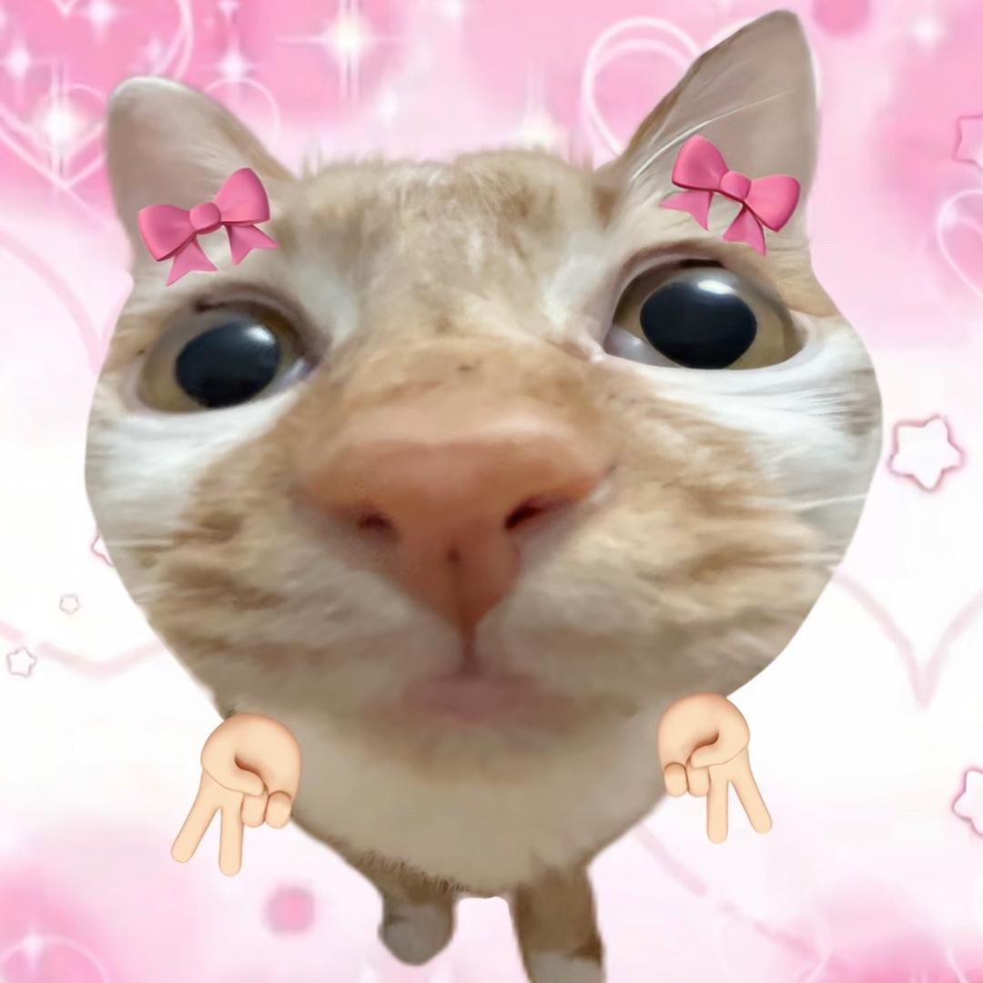 真的妹笑