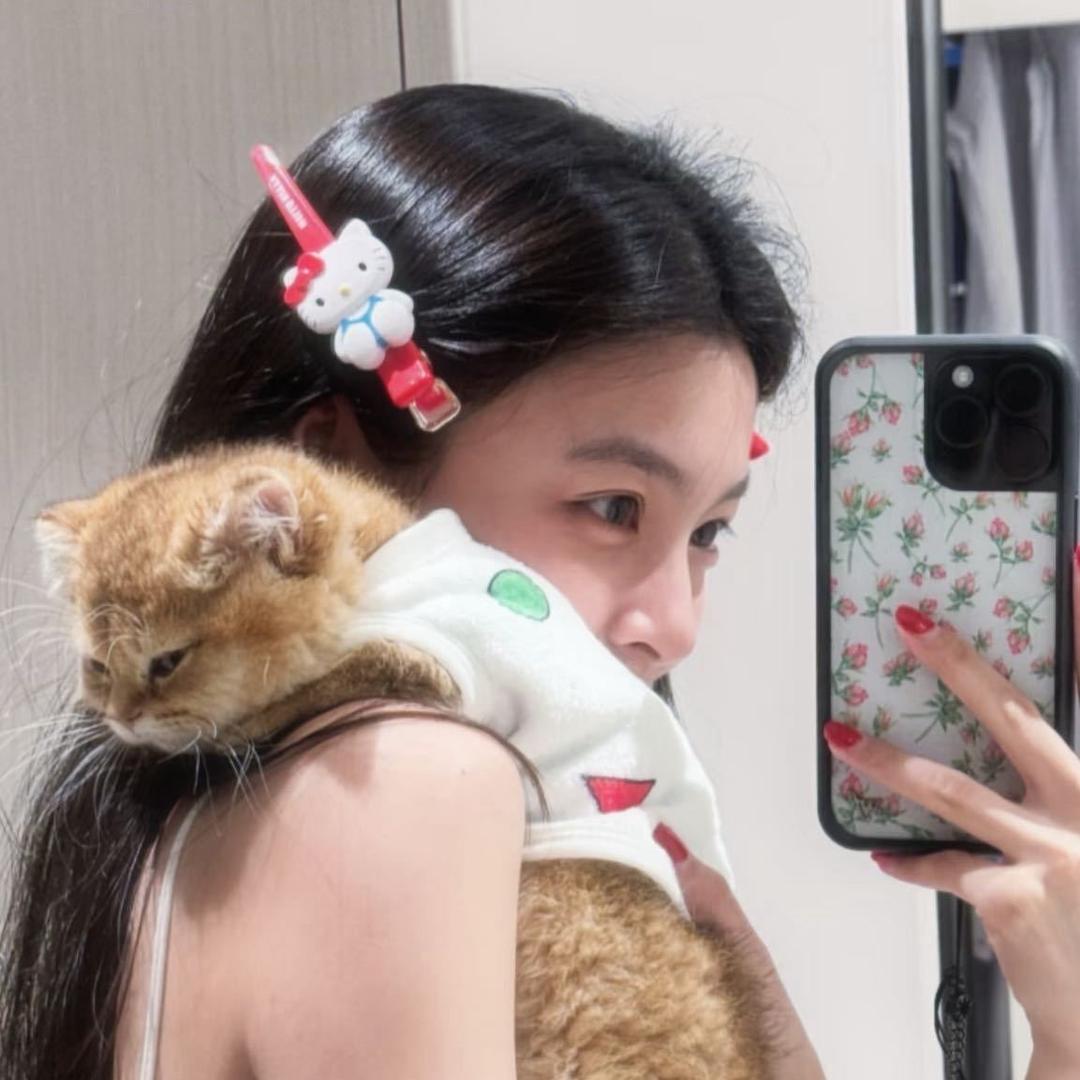 叙冬梦