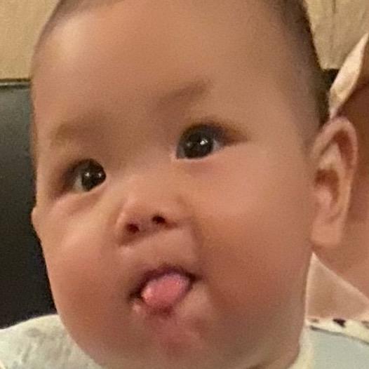 奶爸卖猪肉