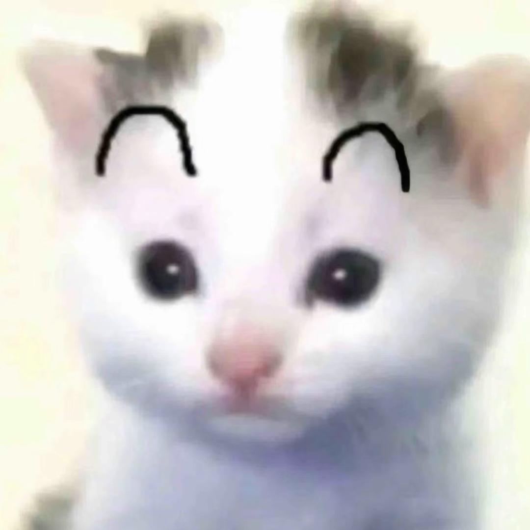 陈嘻嘻