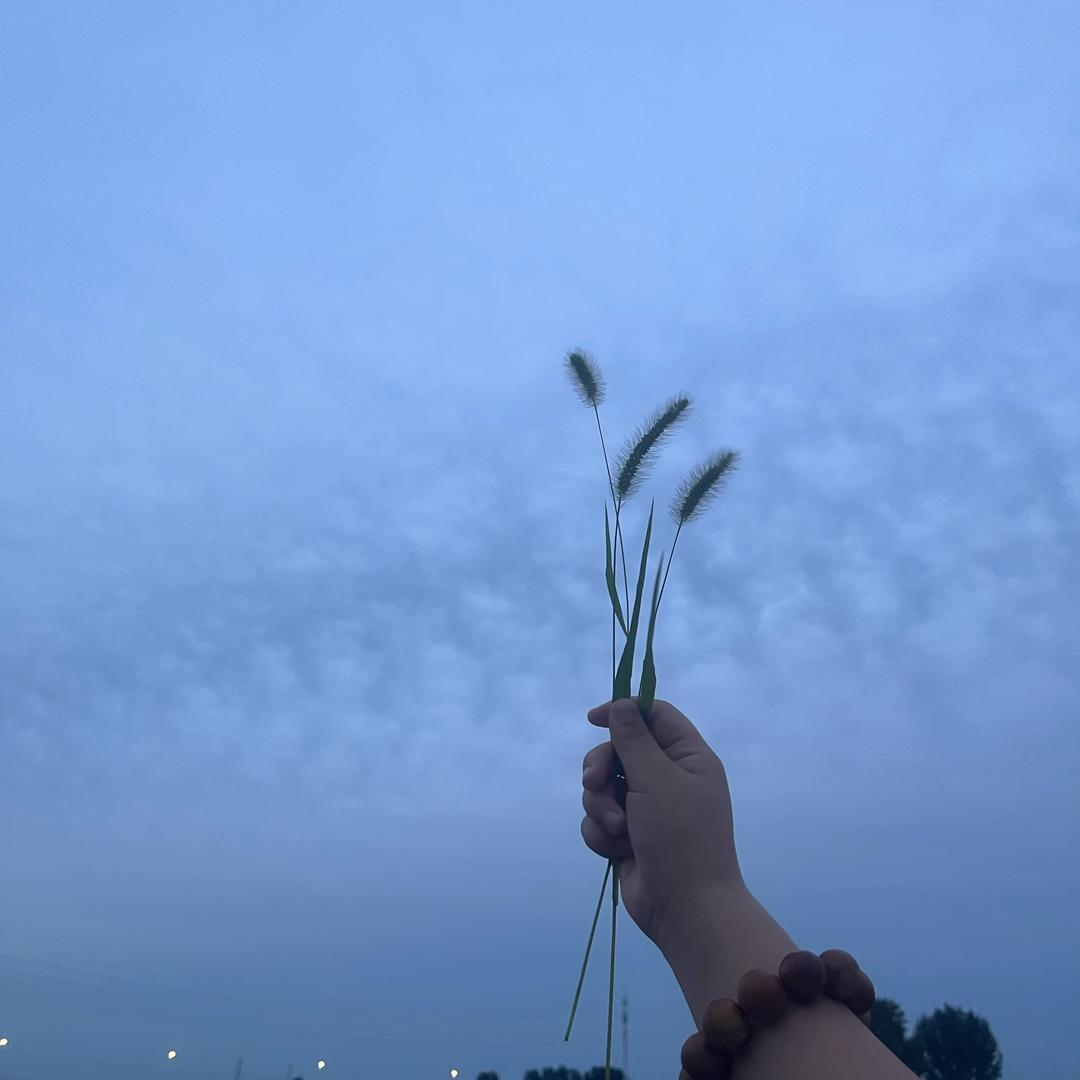 遇见美好