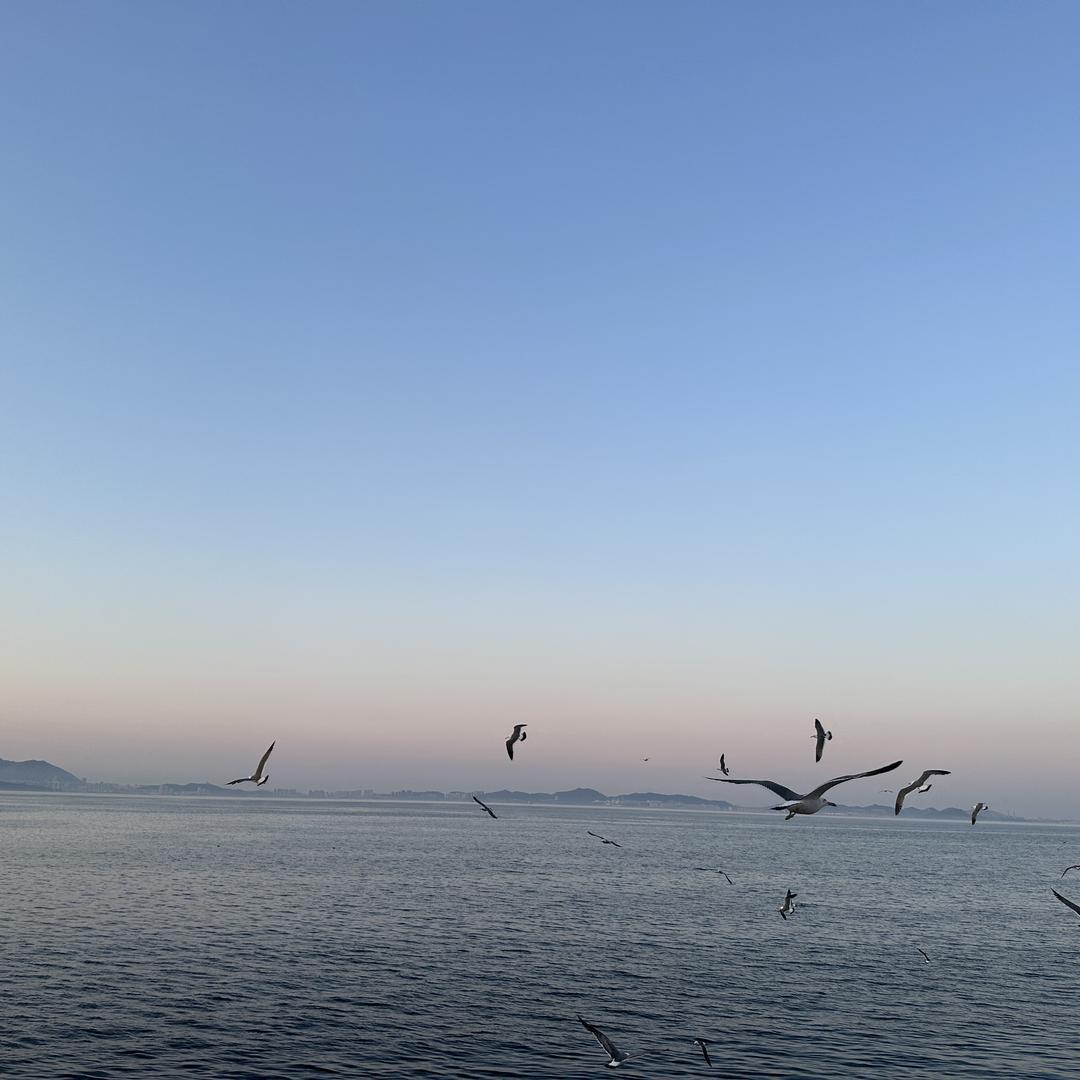 邯郸宠遇宠物纪念馆