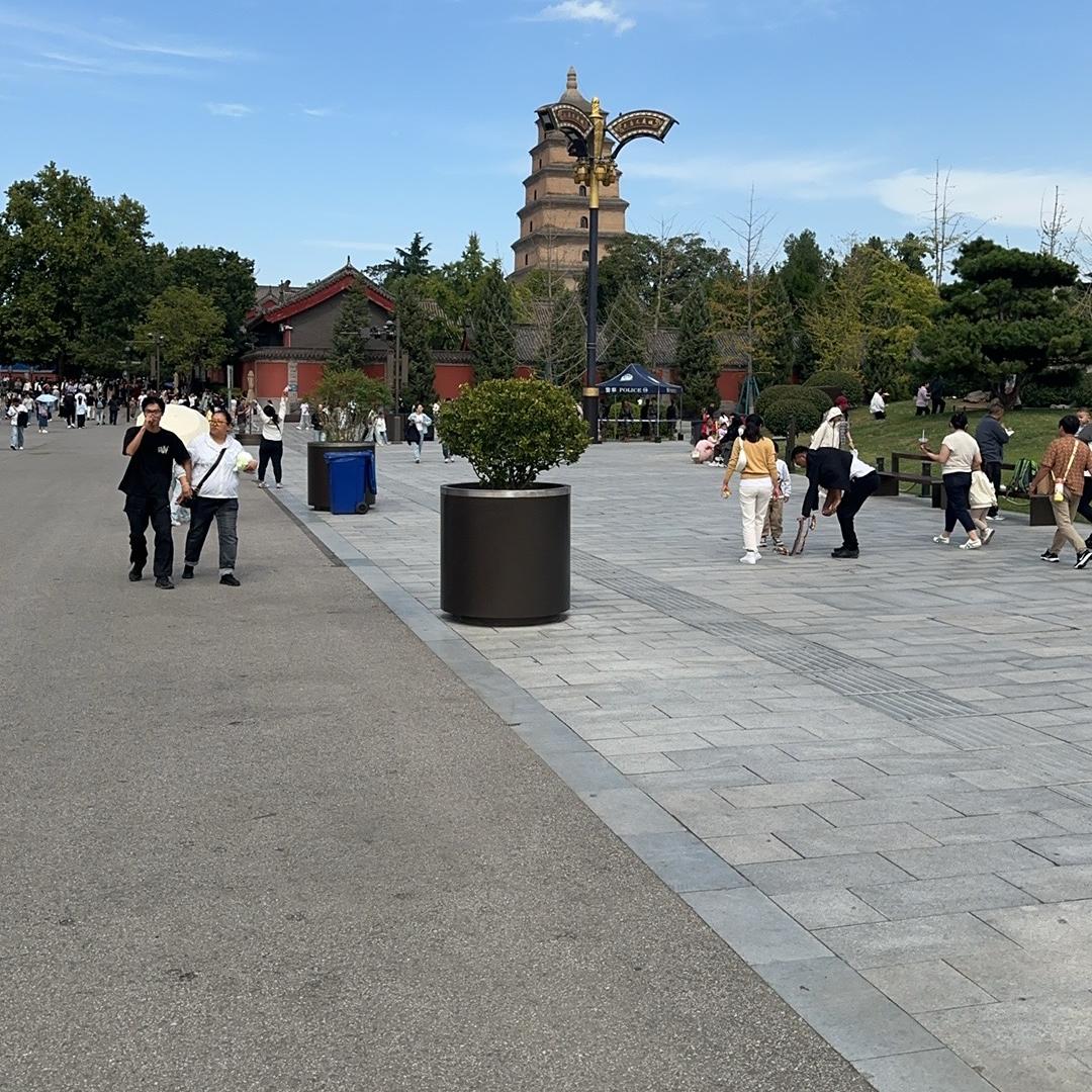 HUALISHANGYAN内衣旗舰店