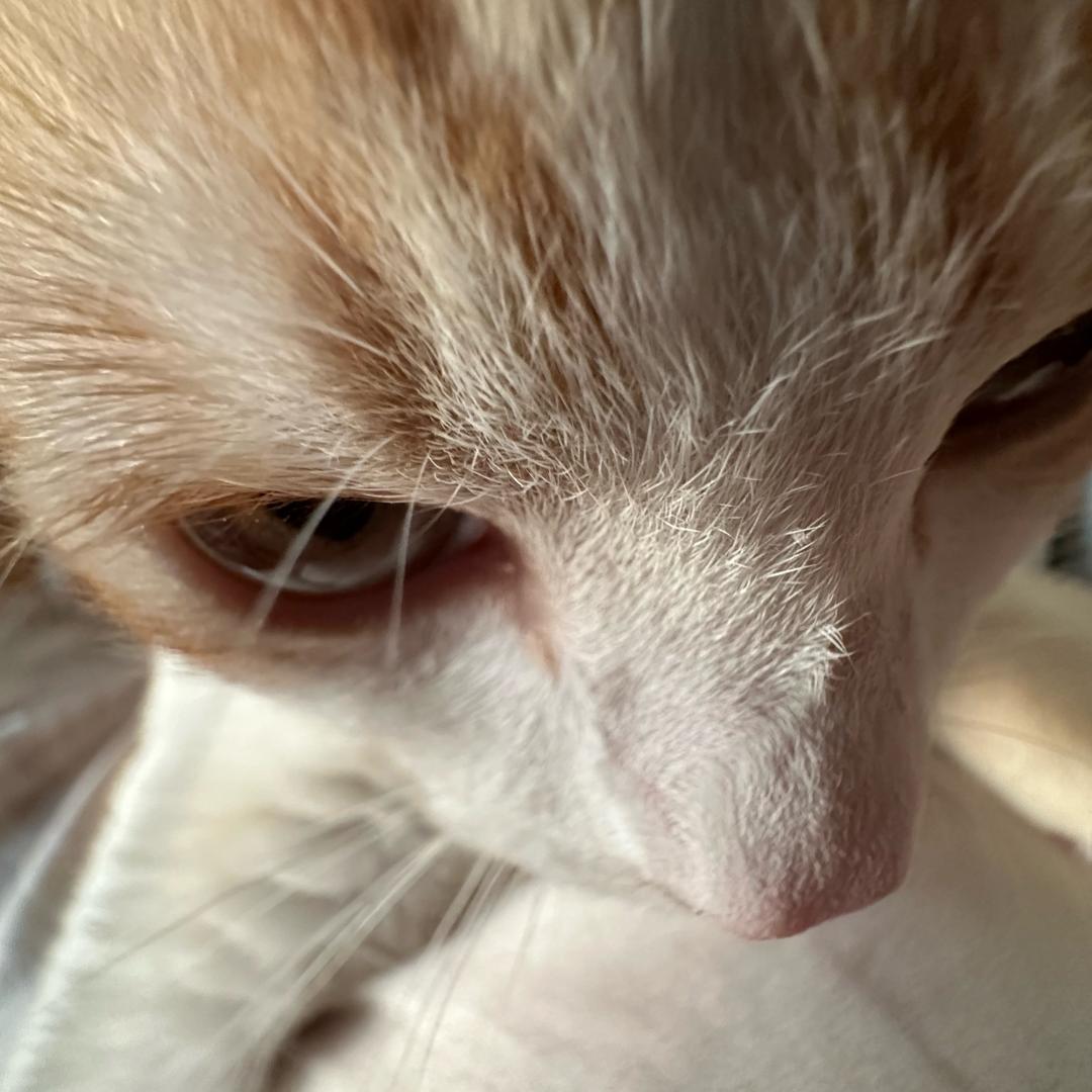 骂我的和被我骂的都是深井冰