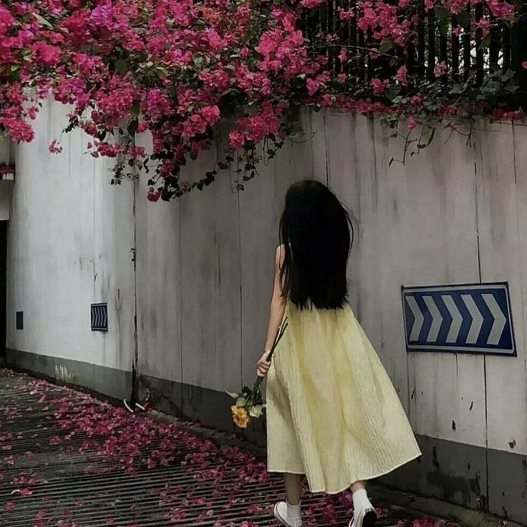 是洁洁吖🌸