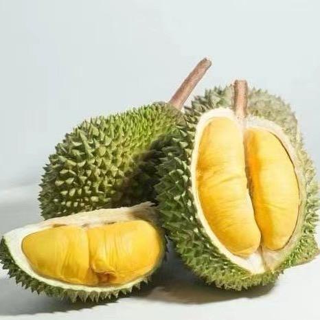 信扬榴莲