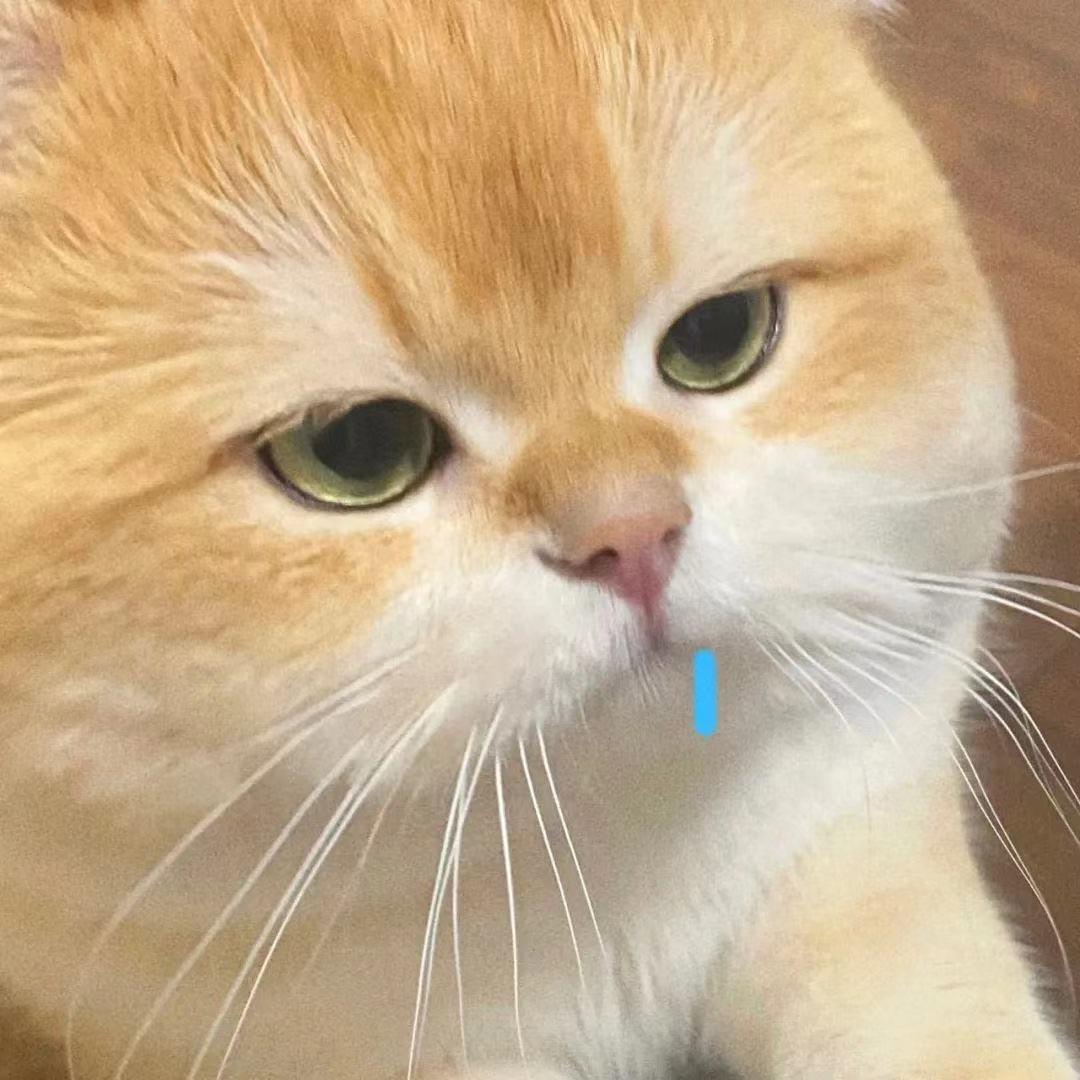 旭润潮玩