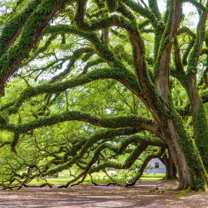 让学业不留遗憾