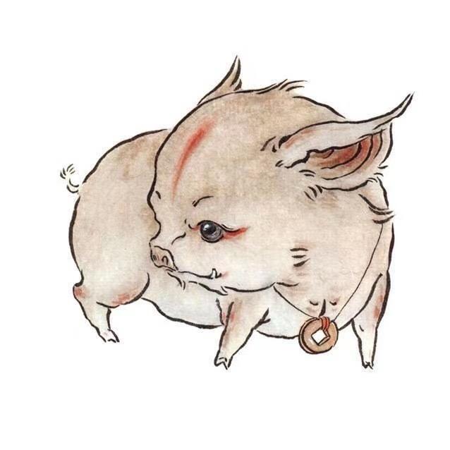 96005684111的头像