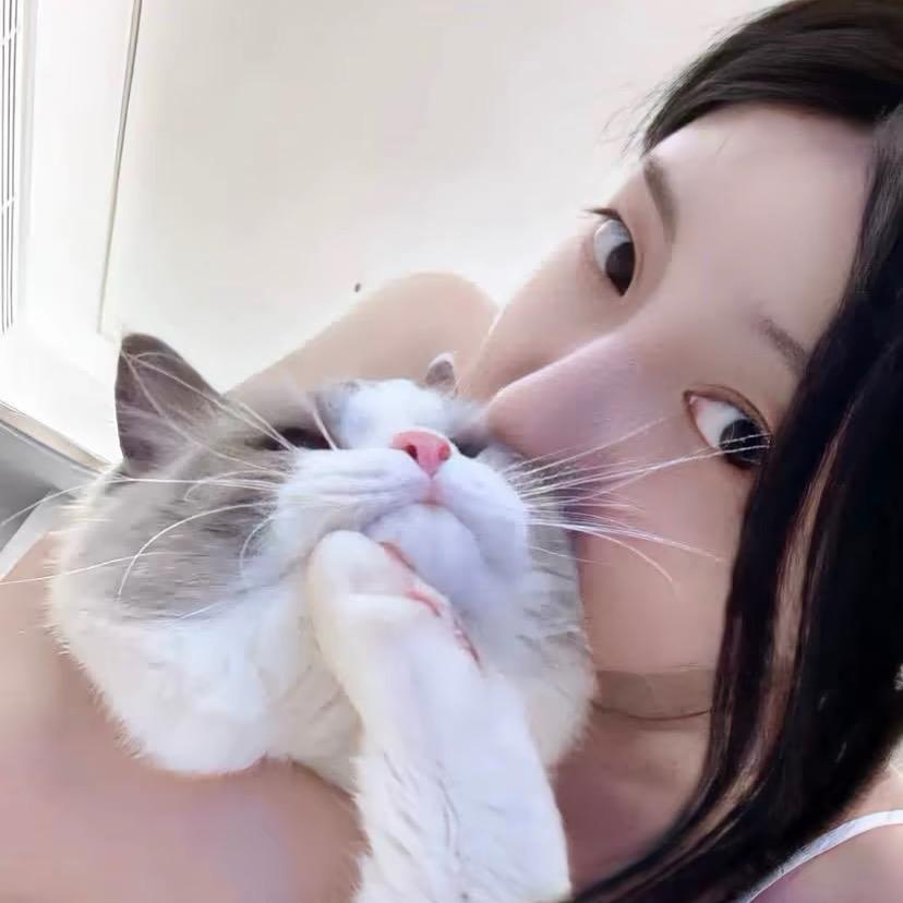 ㅤ￰ ㅤㅤㅤ毛毛