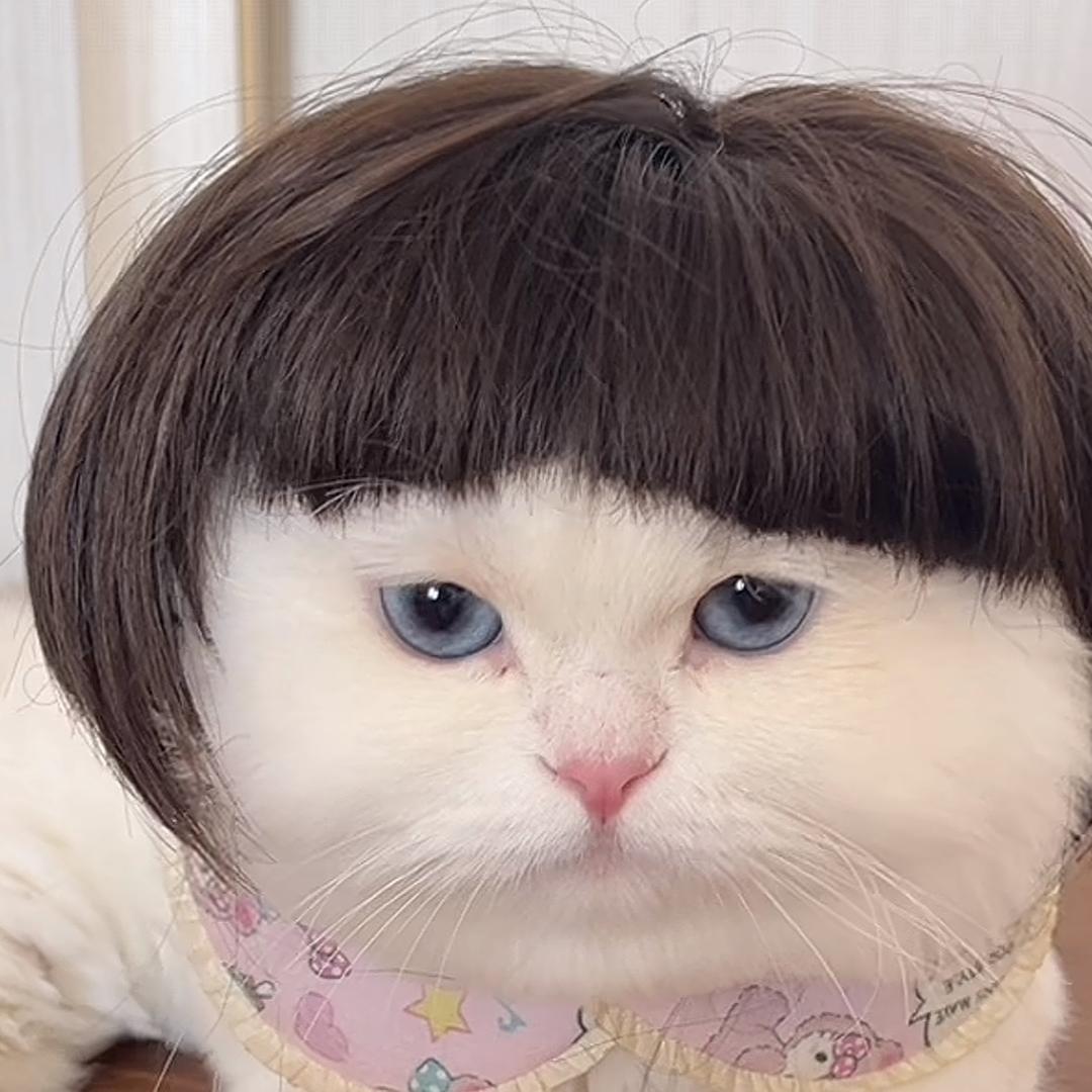 野生小姨子