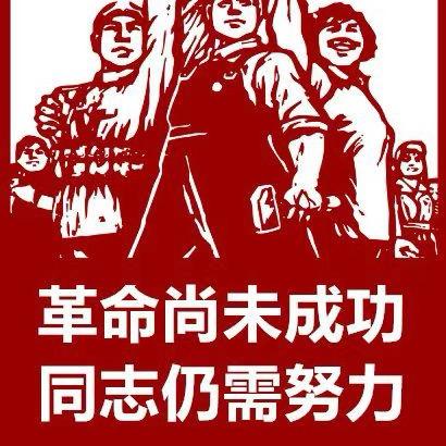 椰椰椰