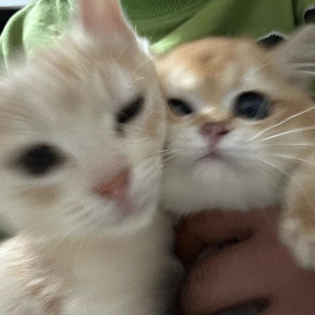 😐💤