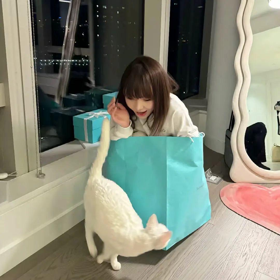 晚了个安