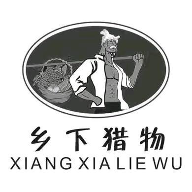 沈丘观赏鸽
