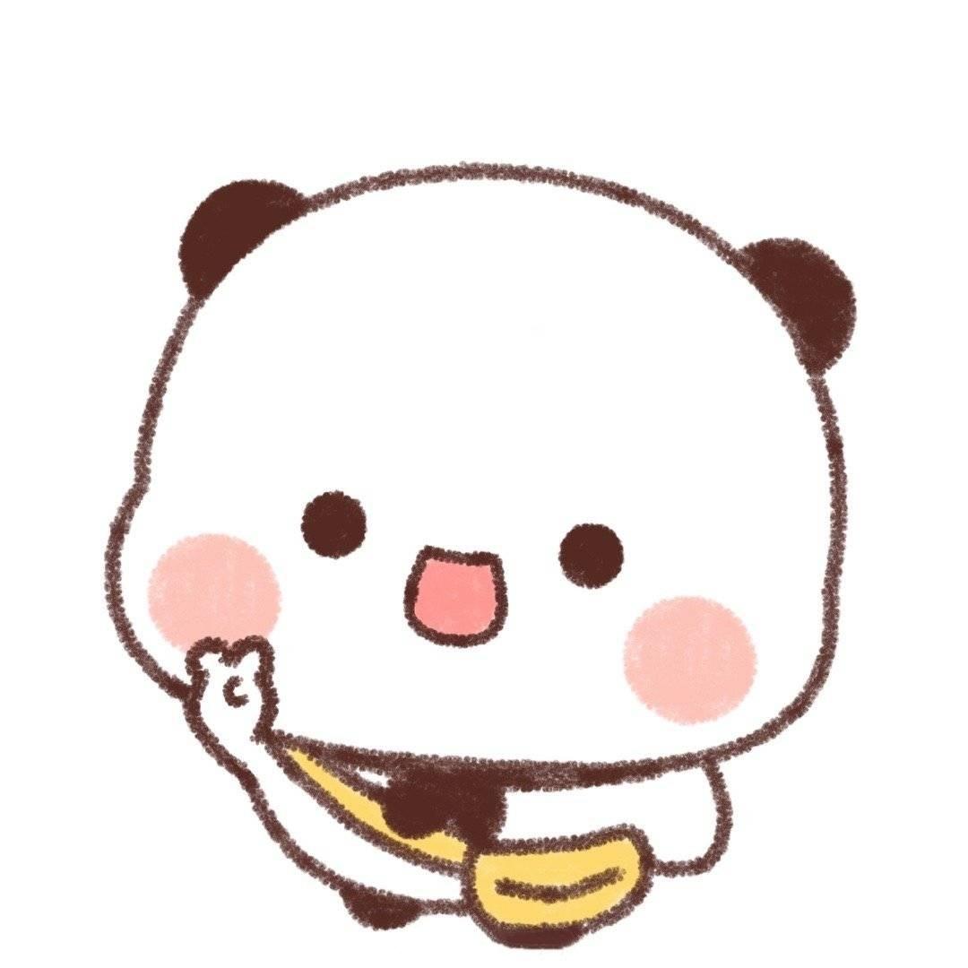 小圆椰