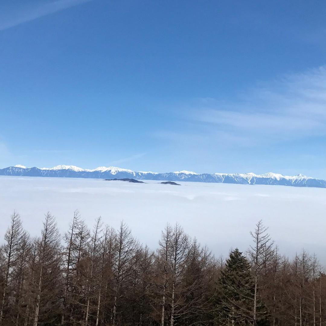 爱大叔