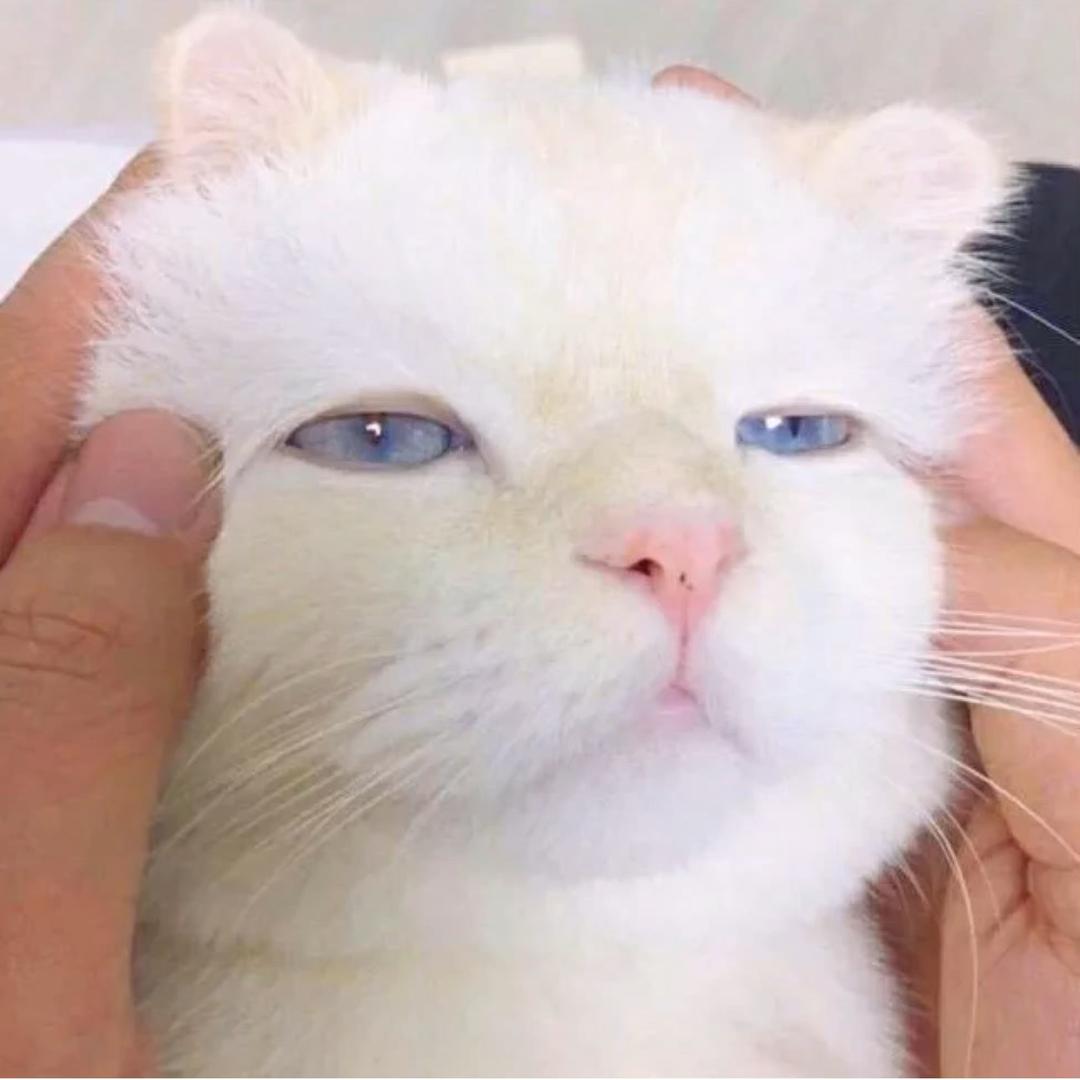 姜酸不酸