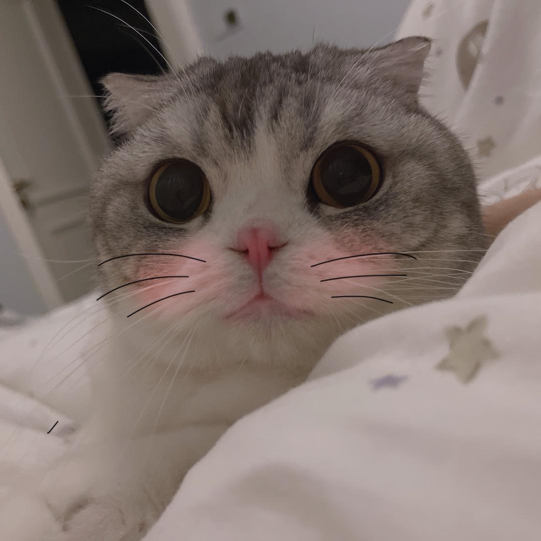 小松奈々