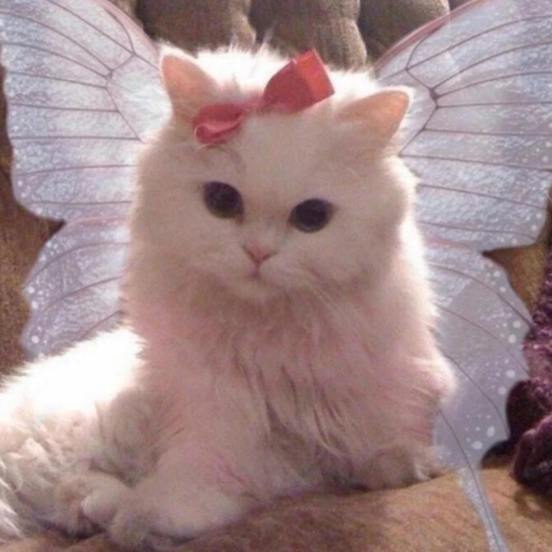 Angelina
