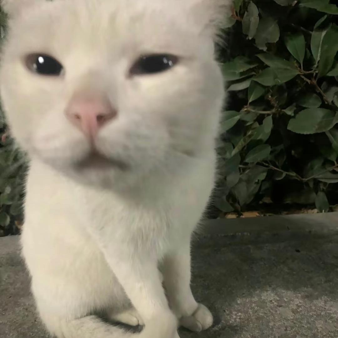 看到我请叫我去喝水