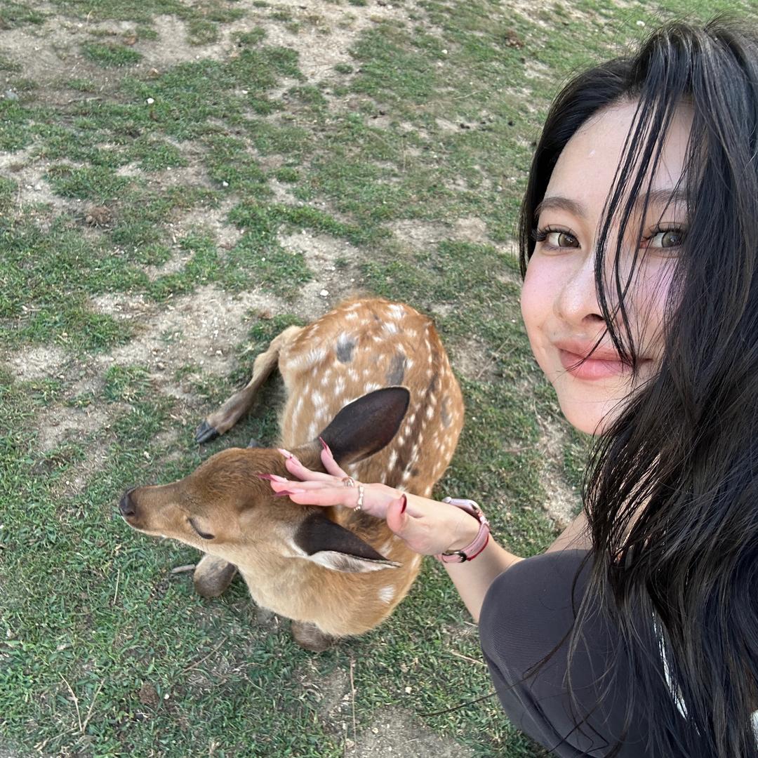 维达Vinda
