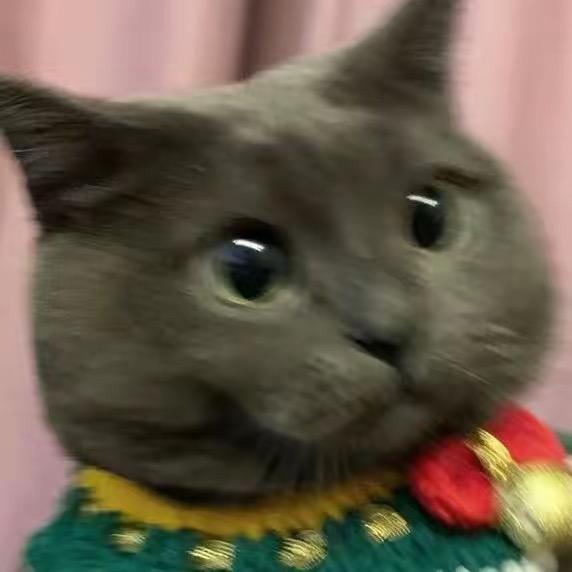 苏西