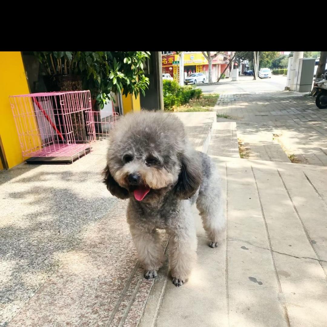 小丸子❤️❤️