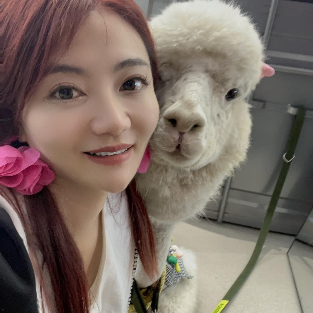 杨百百是只驼