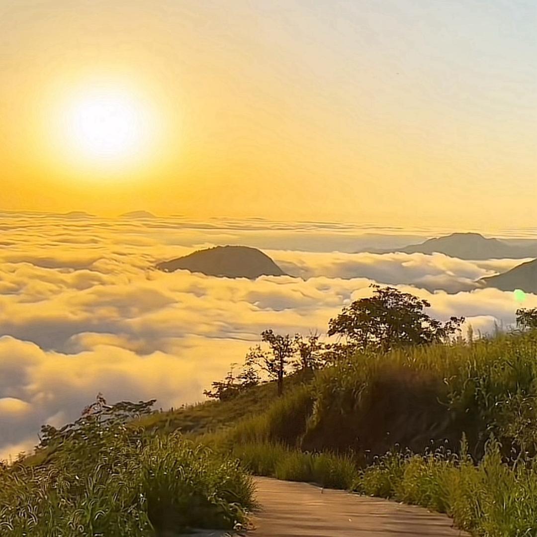 ꧁芳❤️独韵꧂