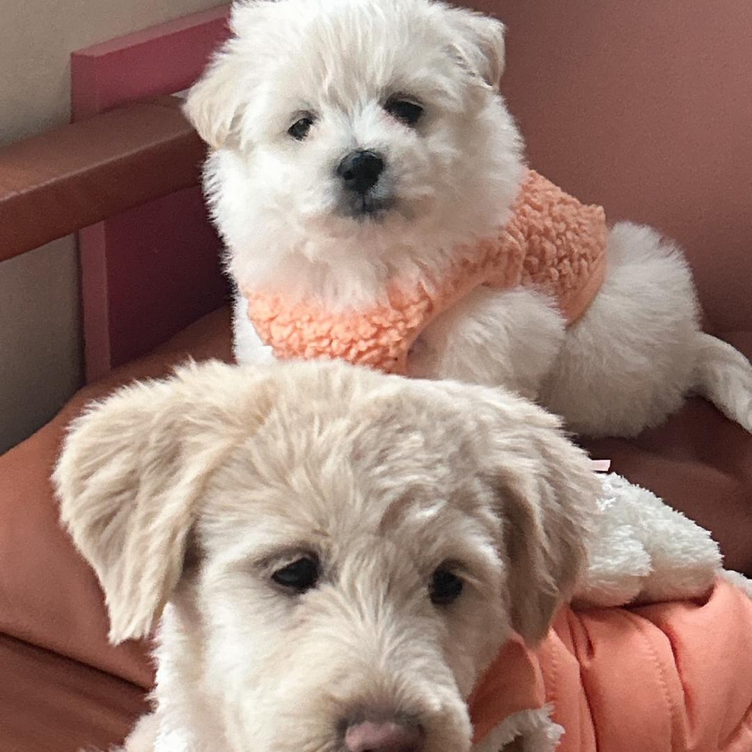 大橙子🍊666🧡