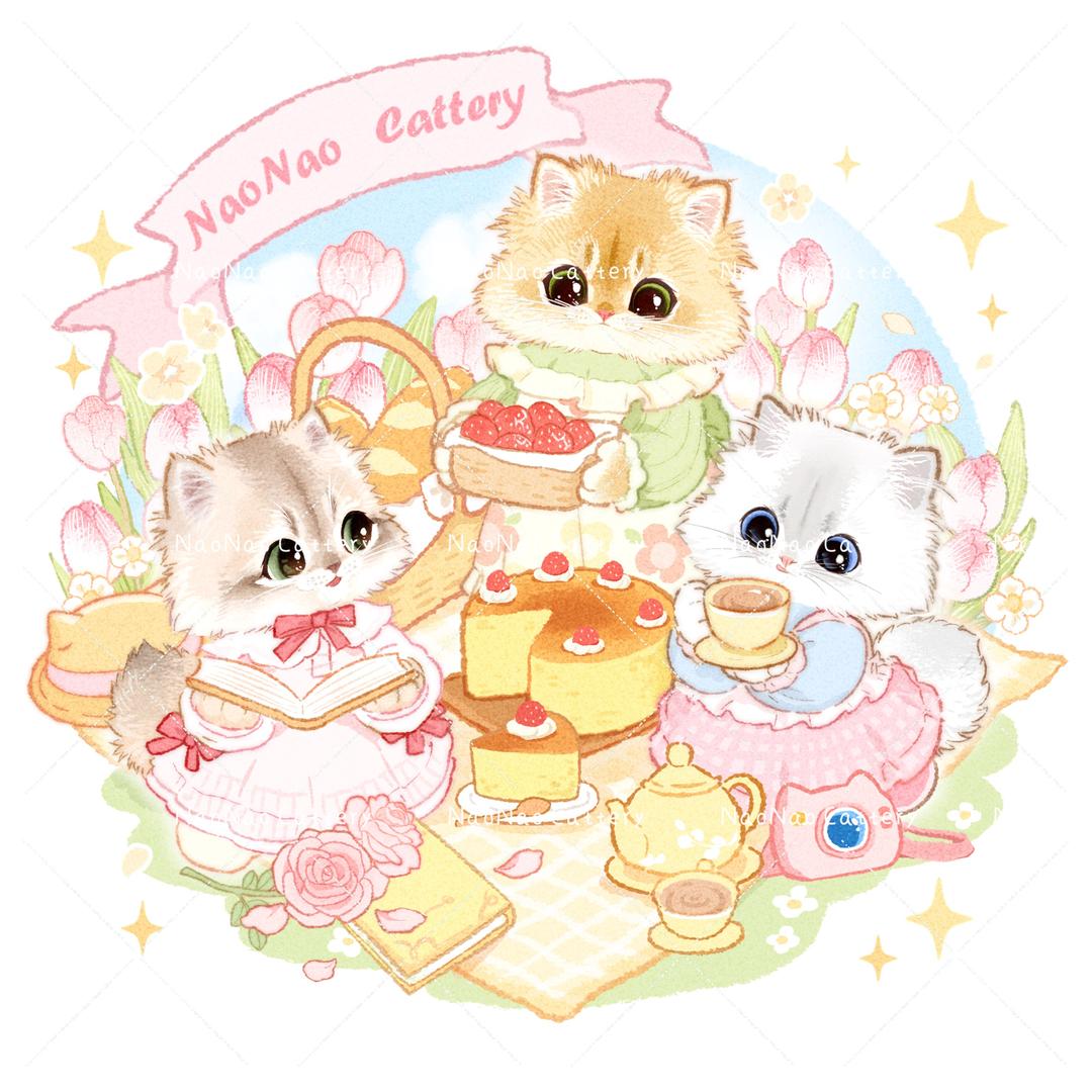 NaoNao Cattery英长猫舍