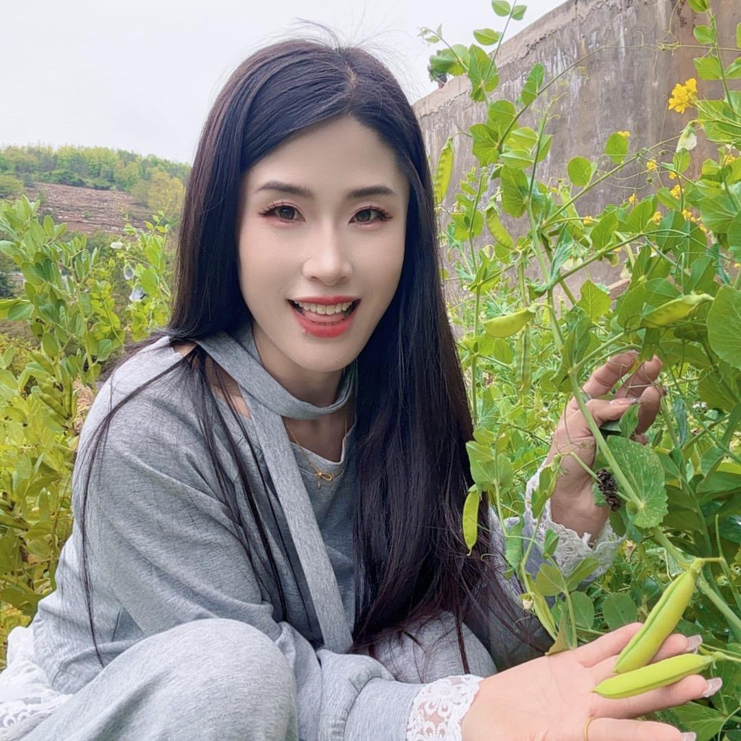 是燕子呀