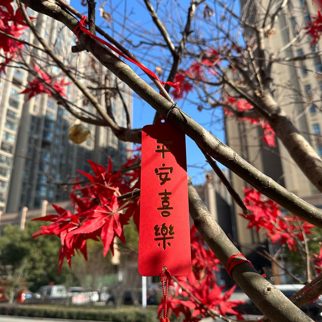 爱心传递—郑