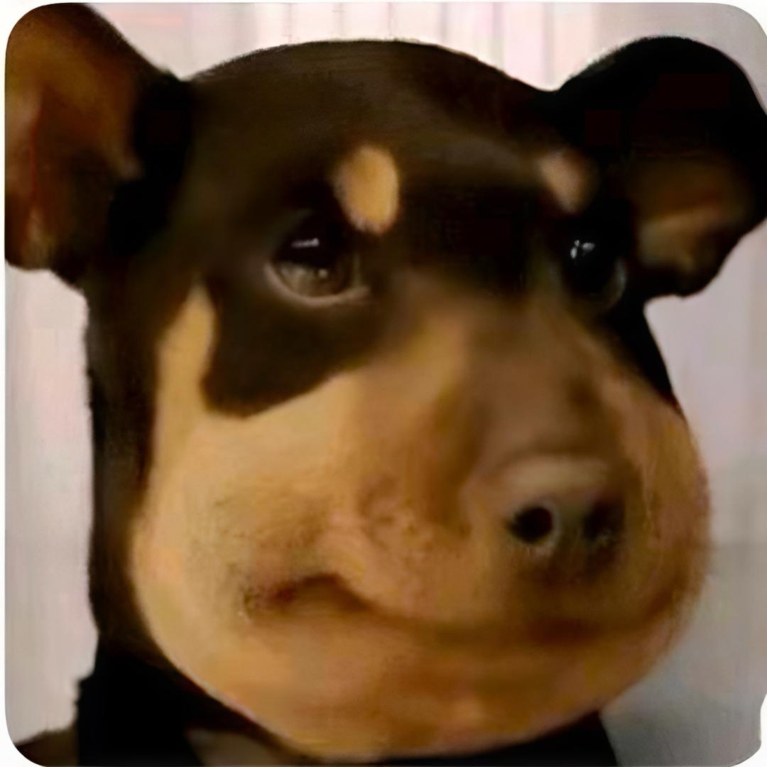 琪琪の筱舔狗🐒⁰⁴⁷