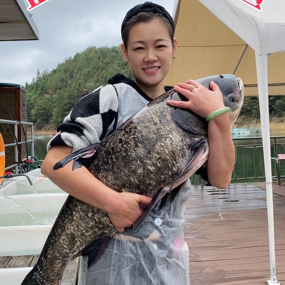 淳鲜舫千岛湖鱼