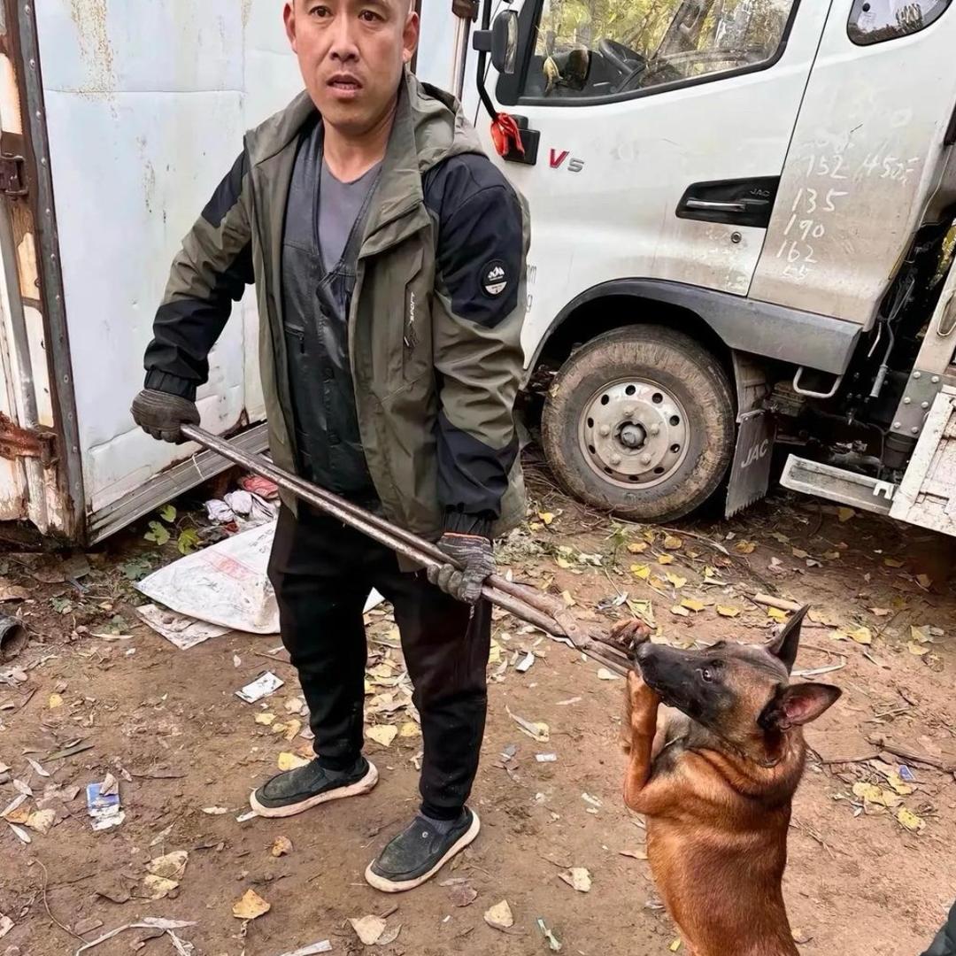 AAA 专业套狗张师傅