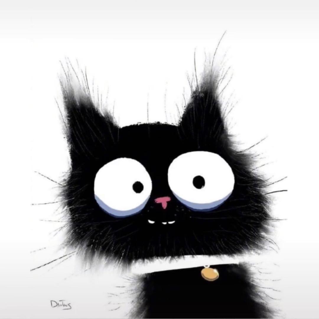 刺猬猬动画