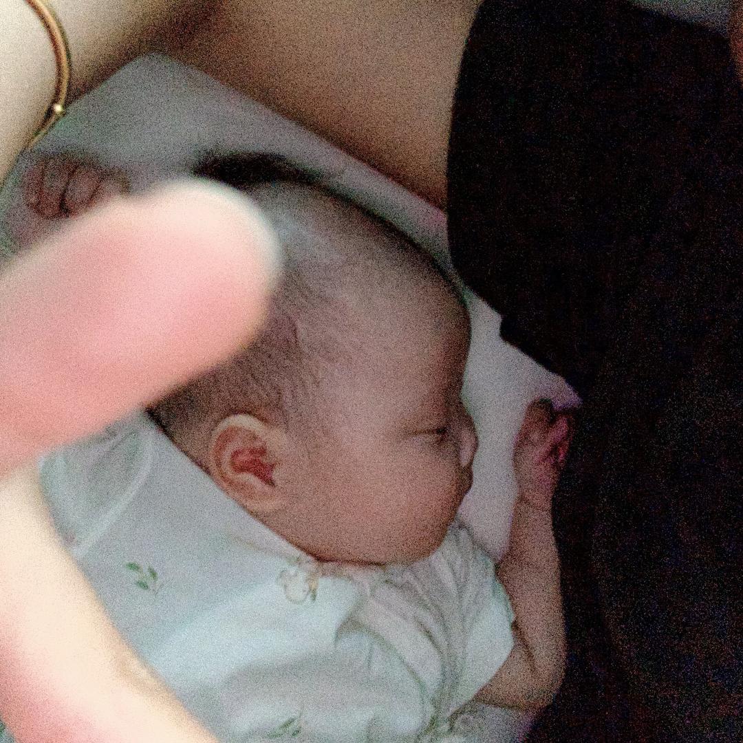 布小满的桐 🐻