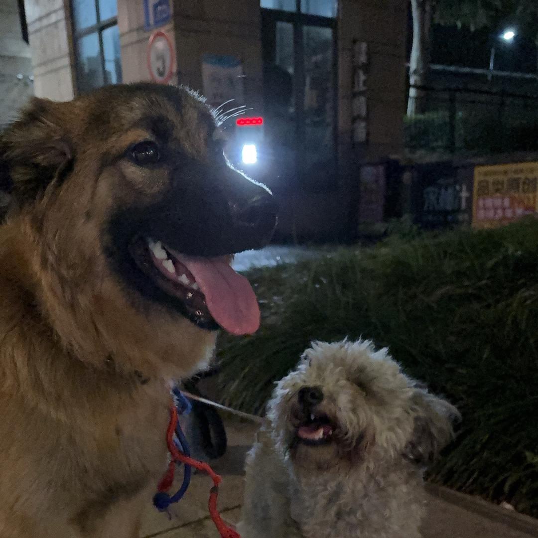 只管善良你没有错