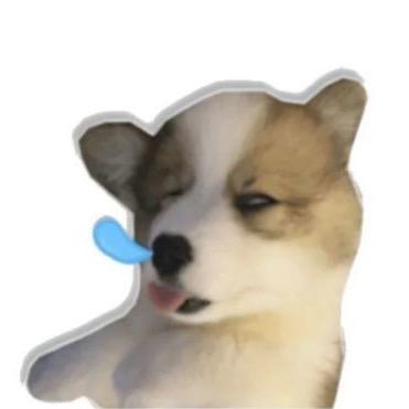 诺鳮訝