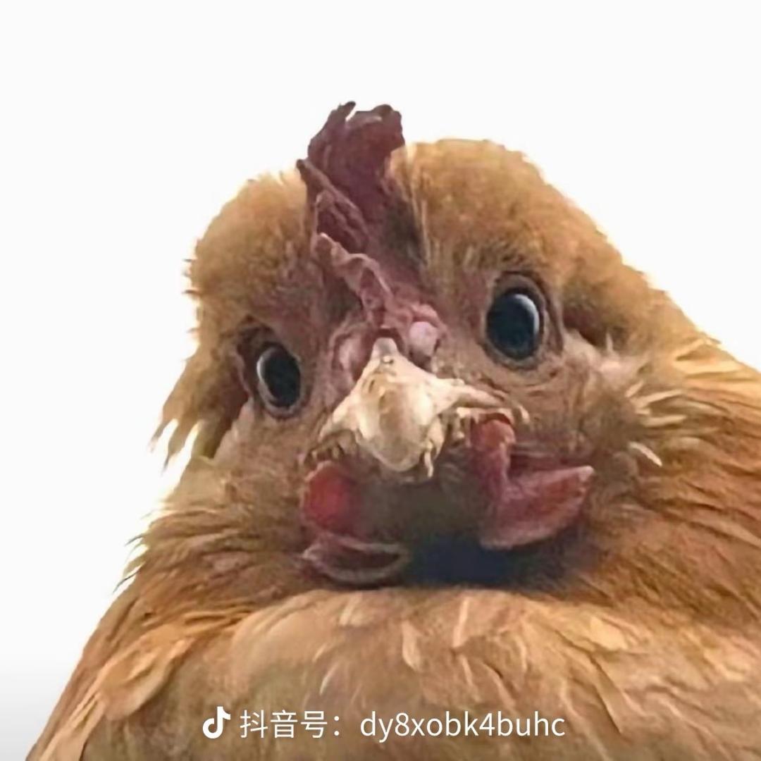 对方正在输入…