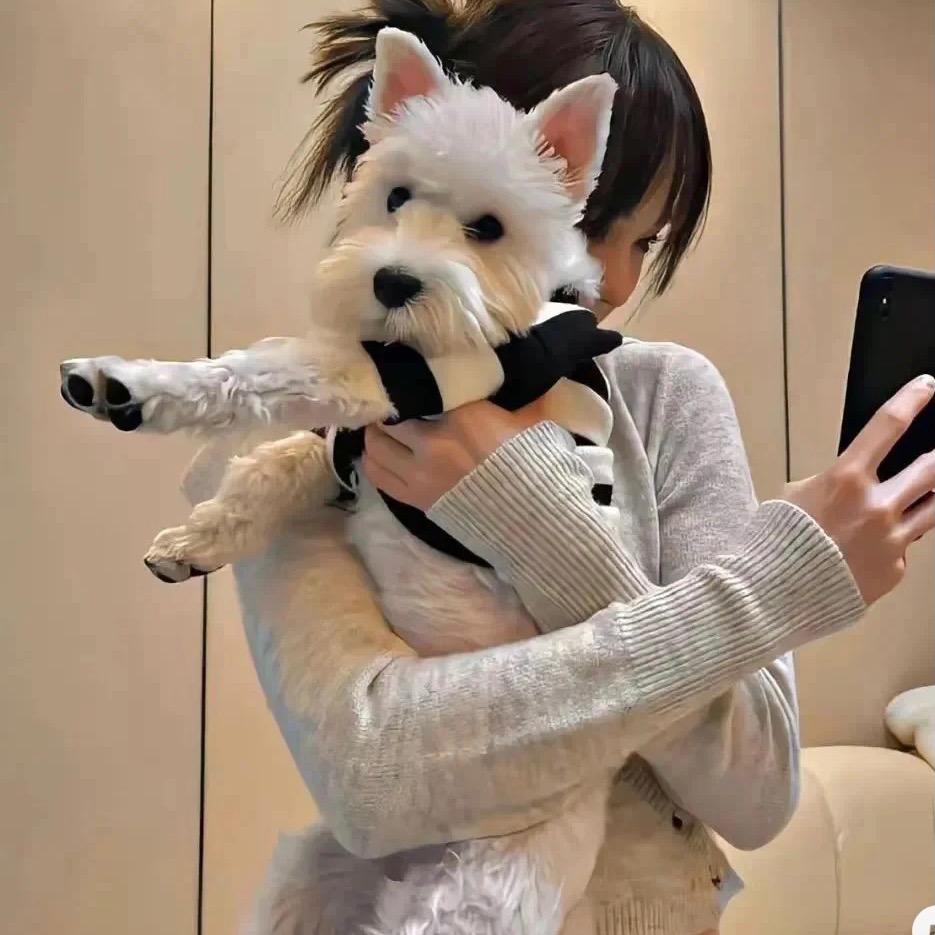 小熊uu