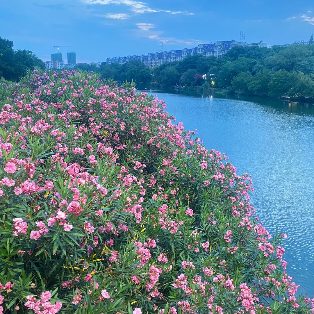 ༺百͈̎姓͈̎优͈̎选͈̎༻