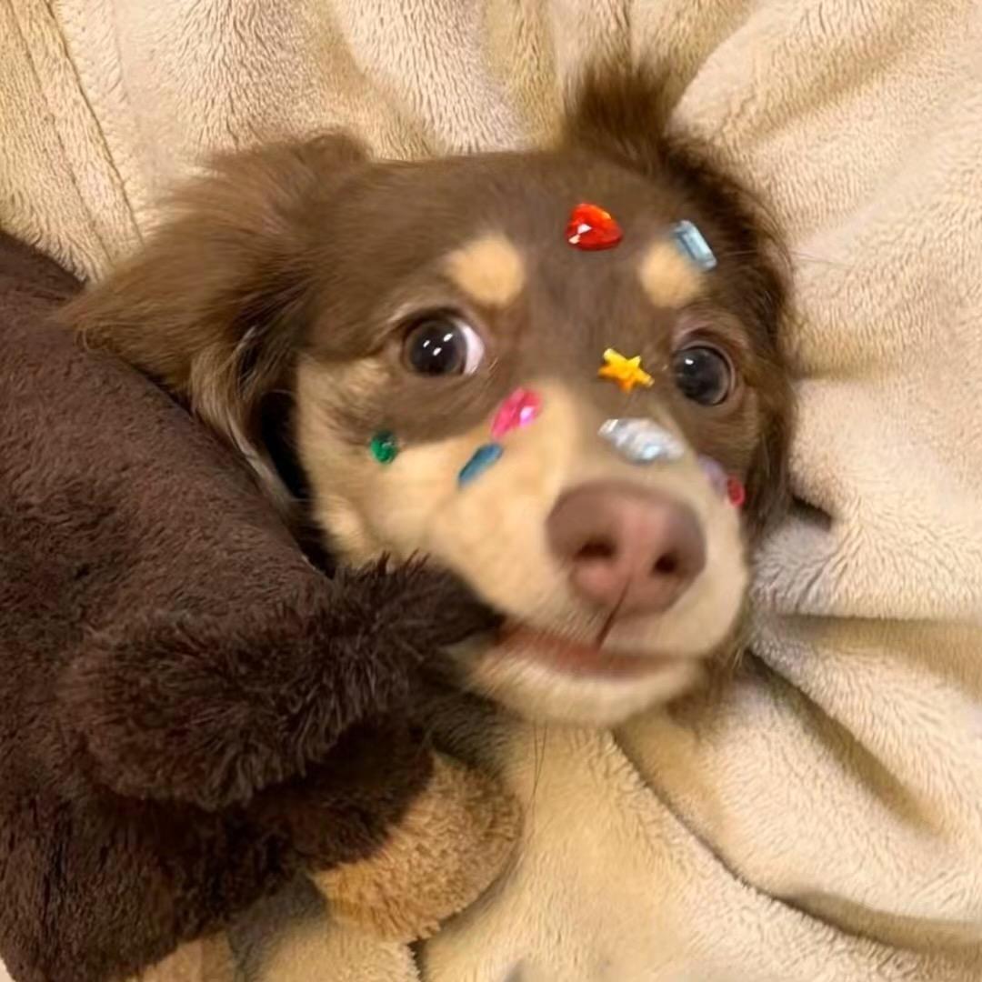鱼堡