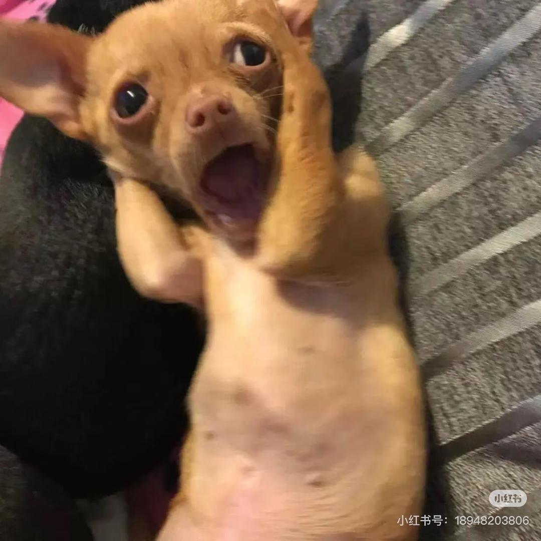 脑子在太空漂流