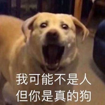 爱吃可比克的蒙大赦头像