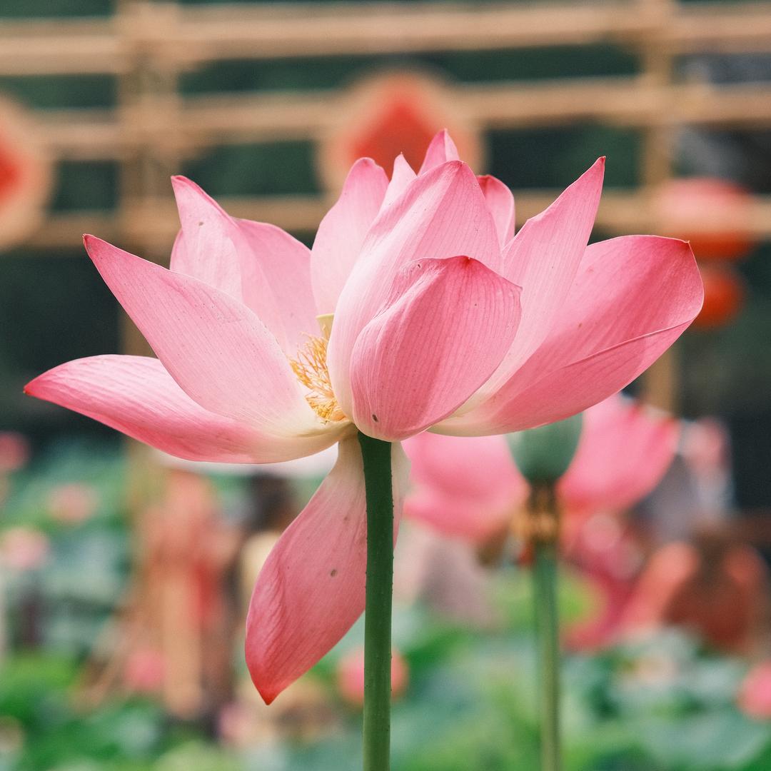 欣梦👧(ಡωಡ)h